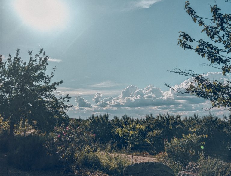Un melodía de esperanza